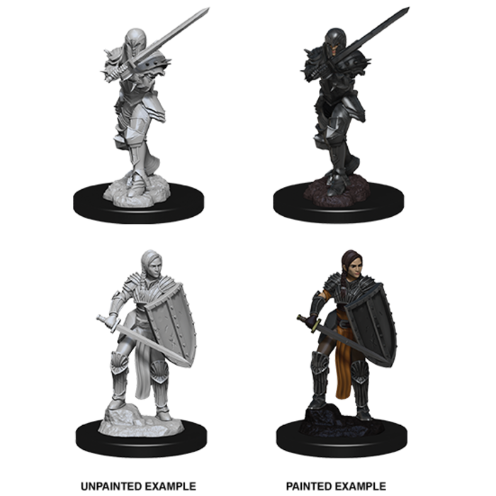 Wizkids/NECA LLC Nolzur's Marvelous Miniatures: Female Human Fighter