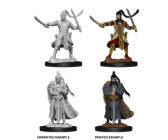 Wizkids/NECA LLC Nolzur's Marvelous Miniatures: Elf Paladin Male