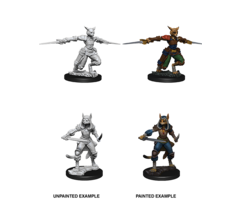 Wizkids/NECA LLC Nolzur's Marvelous Miniatures: Tabaxi Rogue Female