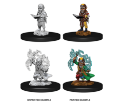 Wizkids/NECA LLC Pathfinder Deep Cuts Miniatures: Gnome Sorcerer Male