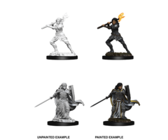 Wizkids/NECA LLC Nolzur's Marvelous Miniatures: Human Paladin Female