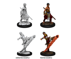 Wizkids/NECA LLC Nolzur's Marvelous Miniatures: Half-Elf Monk Male