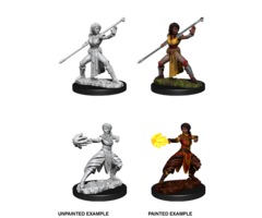 Wizkids/NECA LLC Nolzur's Marvelous Miniatures: Half-Elf Monk Female