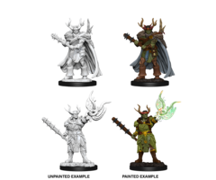 Wizkids/NECA LLC Pathfinder Deep Cuts Miniatures: Half-Orc Druid Male
