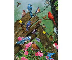 Cobble Hill Puzzles 1000 pcs - Birds of the Forest