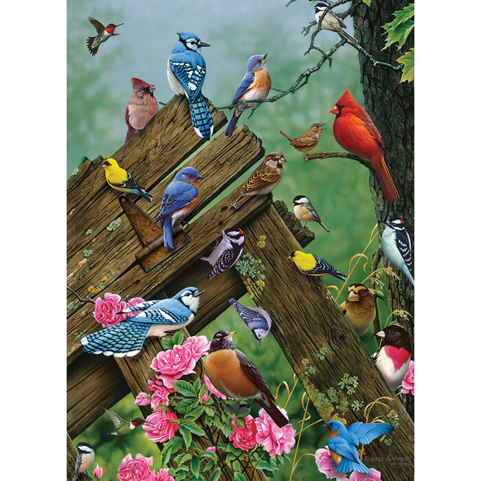 Cobble Hill Puzzles 1000 pcs - Birds of the Forest