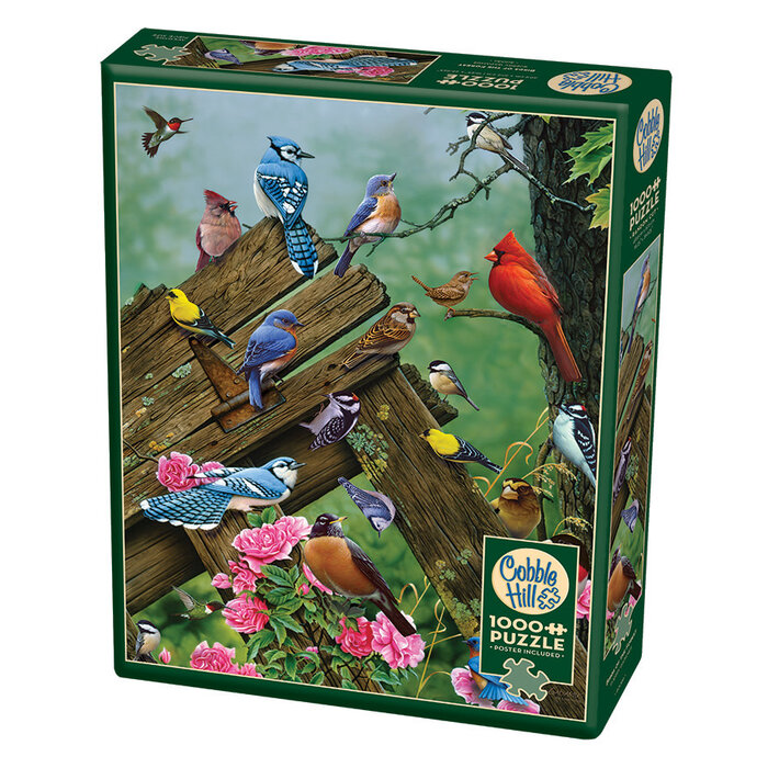 Cobble Hill Puzzles 1000 pcs - Birds of the Forest