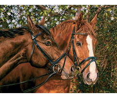 Cobble Hill Puzzles 275 pcs - Friends Forever (Easy Handling)