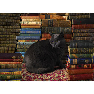 Cobble Hill Puzzles 1000 pcs - Library Cat Cobble Hill Puzzles 1000 pcs - Library Cat
