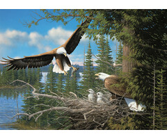 Cobble Hill Puzzles 1000 pcs - Nesting Eagles