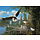 1000 pcs - Nesting Eagles