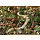1000 pcs - Succulent Garden