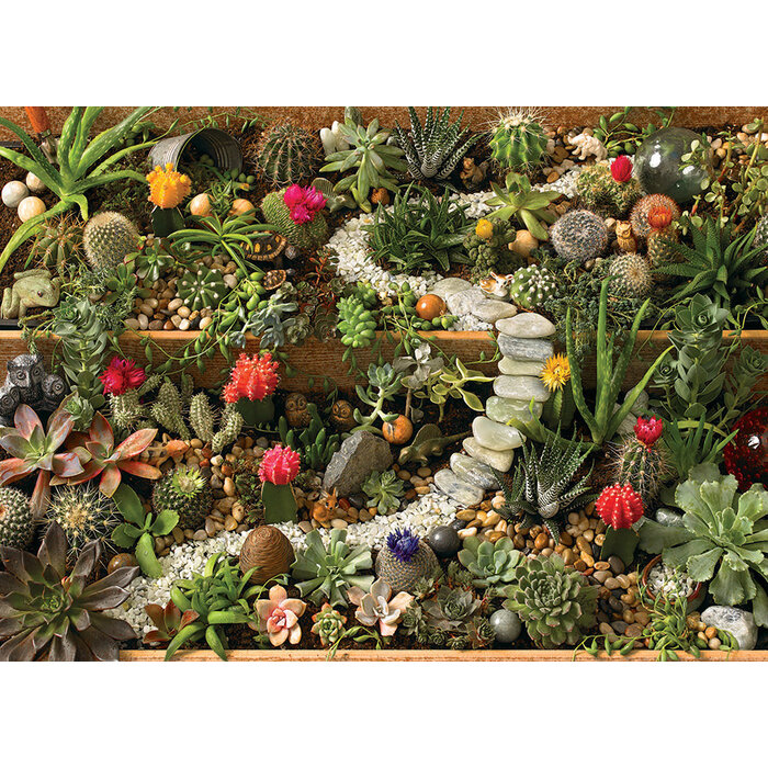 Cobble Hill Puzzles 1000 pcs - Succulent Garden