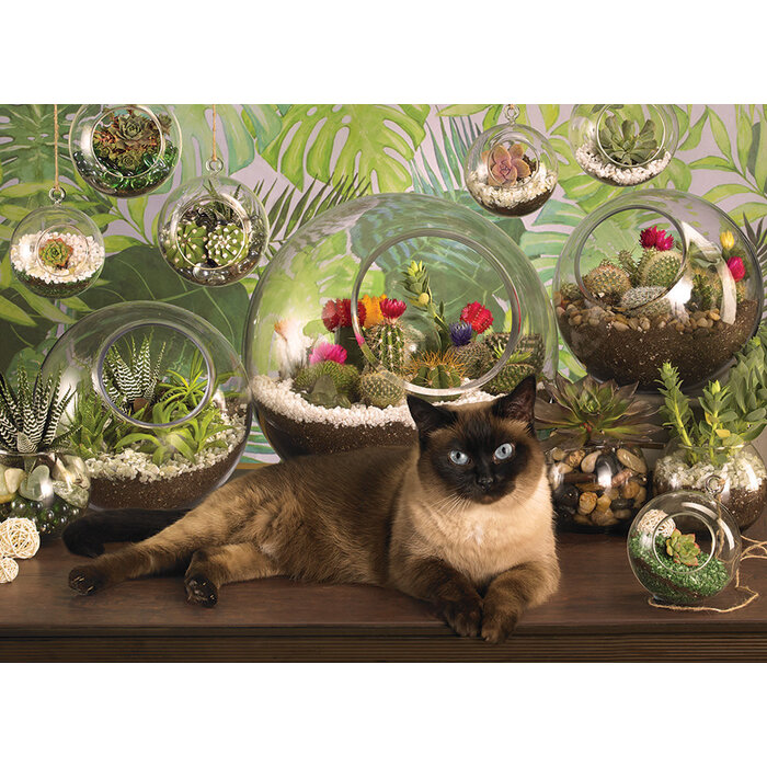 Cobble Hill Puzzles 1000 pcs - Terrarium Cat