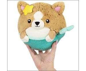 squishable corgi