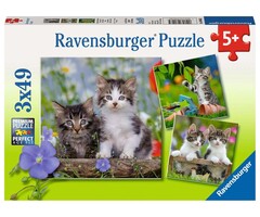 Ravensburger 3x49 pcs - Cuddly Kittens