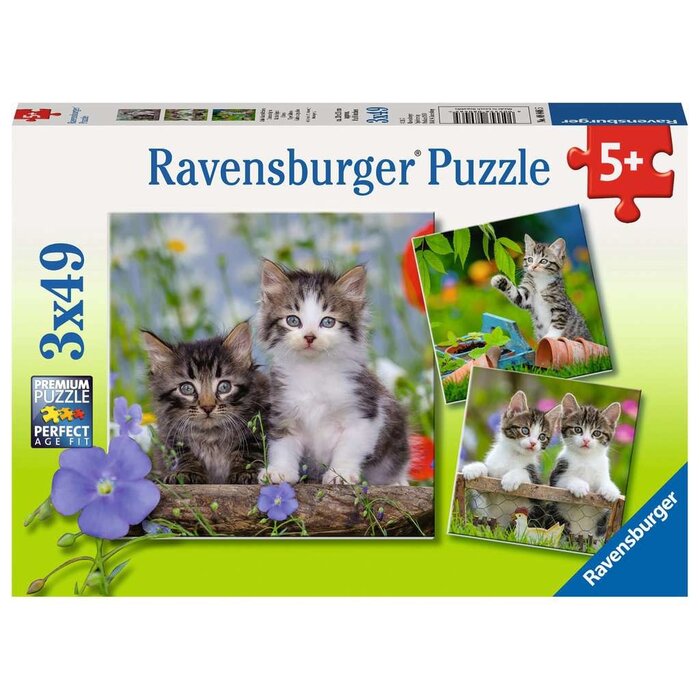 Ravensburger 3x49 pcs - Cuddly Kittens