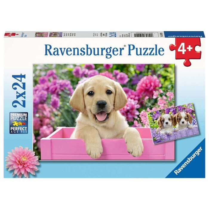 Ravensburger 2x24 pcs - Me and My Pal