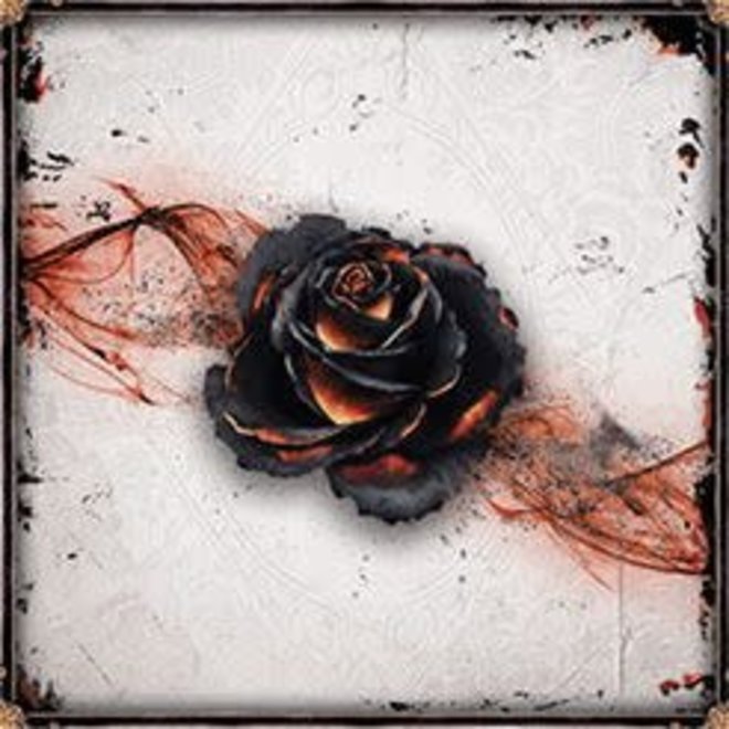 thorns of the black rose puzzle