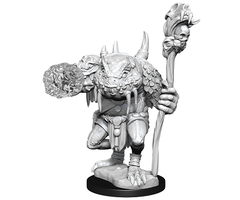 Wizkids/NECA LLC Nolzur's Marvelous Miniatures: Green Slaad