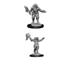 Wizkids/NECA LLC Nolzur's Marvelous Miniatures: Dragonborn Fighter Female (2020)