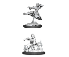 Wizkids/NECA LLC Nolzur's Marvelous Miniatures: Human Monk Female (2020)