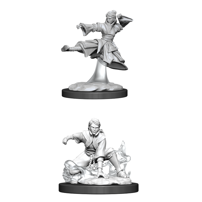 Wizkids/NECA LLC Nolzur's Marvelous Miniatures: Human Monk Female (2020)