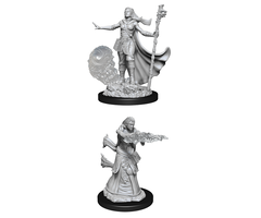 Wizkids/NECA LLC Nolzur's Marvelous Miniatures: Human Wizard Female