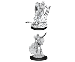 Wizkids/NECA LLC Nolzur's Marvelous Miniatures: Lich & Mummy Lord