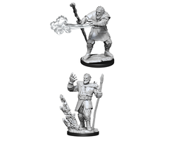 Wizkids/NECA LLC Nolzur's Marvelous Miniatures: Firbolg Druid Male