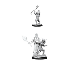 Wizkids/NECA LLC Nolzur's Marvelous Miniatures: Human Barbarian Male (2020)