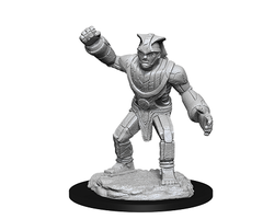 Wizkids/NECA LLC Nolzur's Marvelous Miniatures: Stone Golem