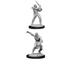 Wizkids/NECA LLC Nolzur's Marvelous Miniatures: Wight & Ghast