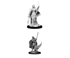 Wizkids/NECA LLC Pathfinder Deep Cuts Miniatures: Human Oracle Female