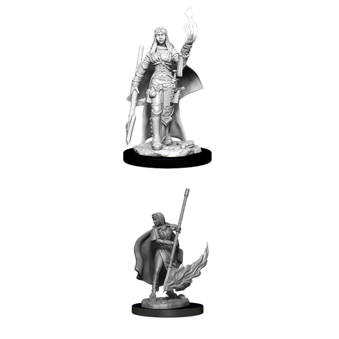 Wizkids/NECA LLC Pathfinder Deep Cuts Miniatures: Human Oracle Female