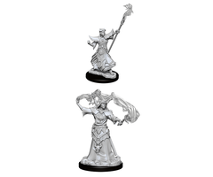 Wizkids/NECA LLC Pathfinder Deep Cuts Miniatures: Human Sorcerer Male