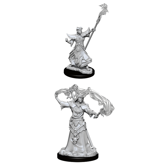 Wizkids/NECA LLC Pathfinder Deep Cuts Miniatures: Human Sorcerer Male