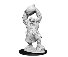 Wizkids/NECA LLC Pathfinder Deep Cuts Miniatures: Ogre