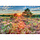 500 pcs - Heather at Sunset