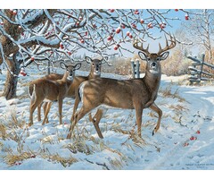 Cobble Hill Puzzles 500 pcs - Winter Deer