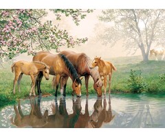 Cobble Hill Puzzles 350 pcs - Horse Family (Family Puzzle)