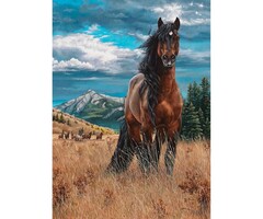 Cobble Hill Puzzles 1000 pcs - Freedom