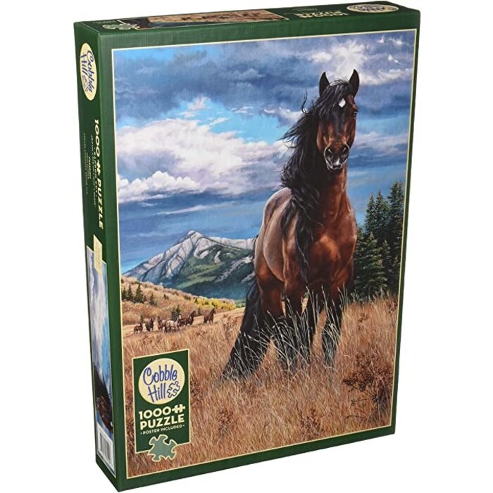 Cobble Hill Puzzles 1000 pcs - Freedom