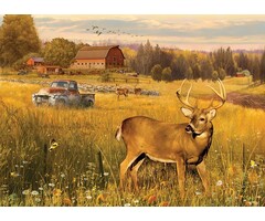 Cobble Hill Puzzles 500 pcs - Deer Field
