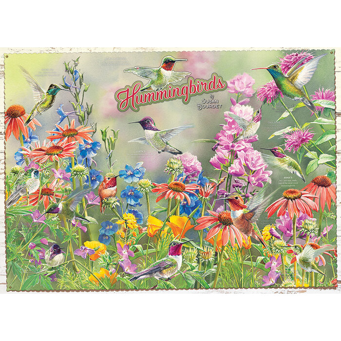 Cobble Hill Puzzles 1000 pcs - Hummingbirds