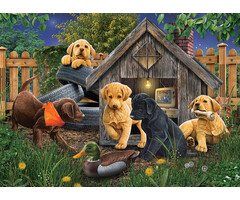 Cobble Hill Puzzles 1000 pcs - In the Doghouse
