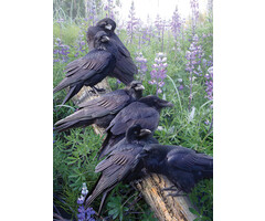 Cobble Hill Puzzles 1000 pcs - Raven Rendezvous