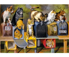 Ravensburger 300 pcs - Cat's Got Mail (Large Piece Format)