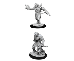 Wizkids/NECA LLC Nolzur's Marvelous Miniatures: Dragonborn Paladin Male