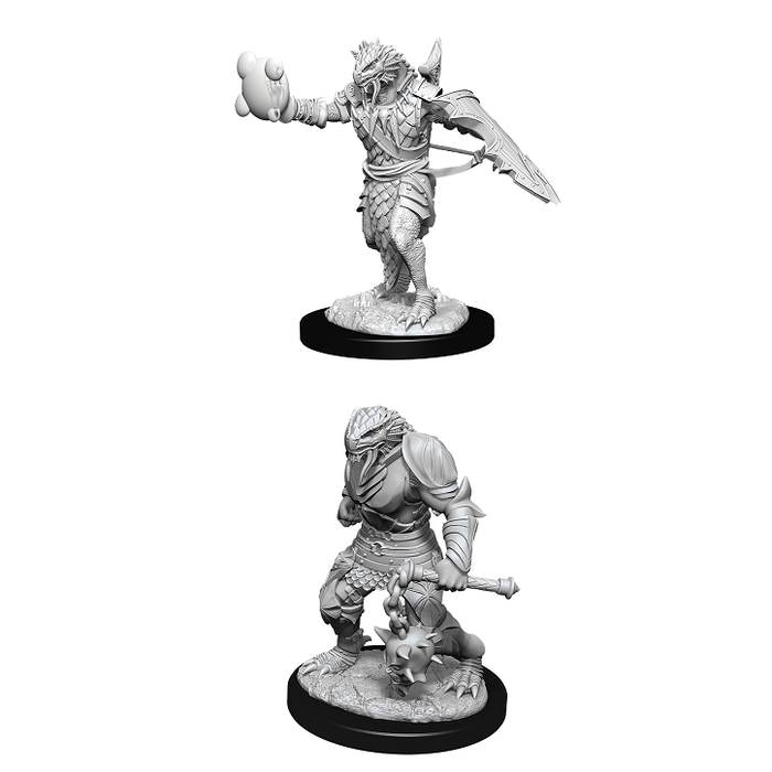 Wizkids/NECA LLC Nolzur's Marvelous Miniatures: Dragonborn Paladin Male